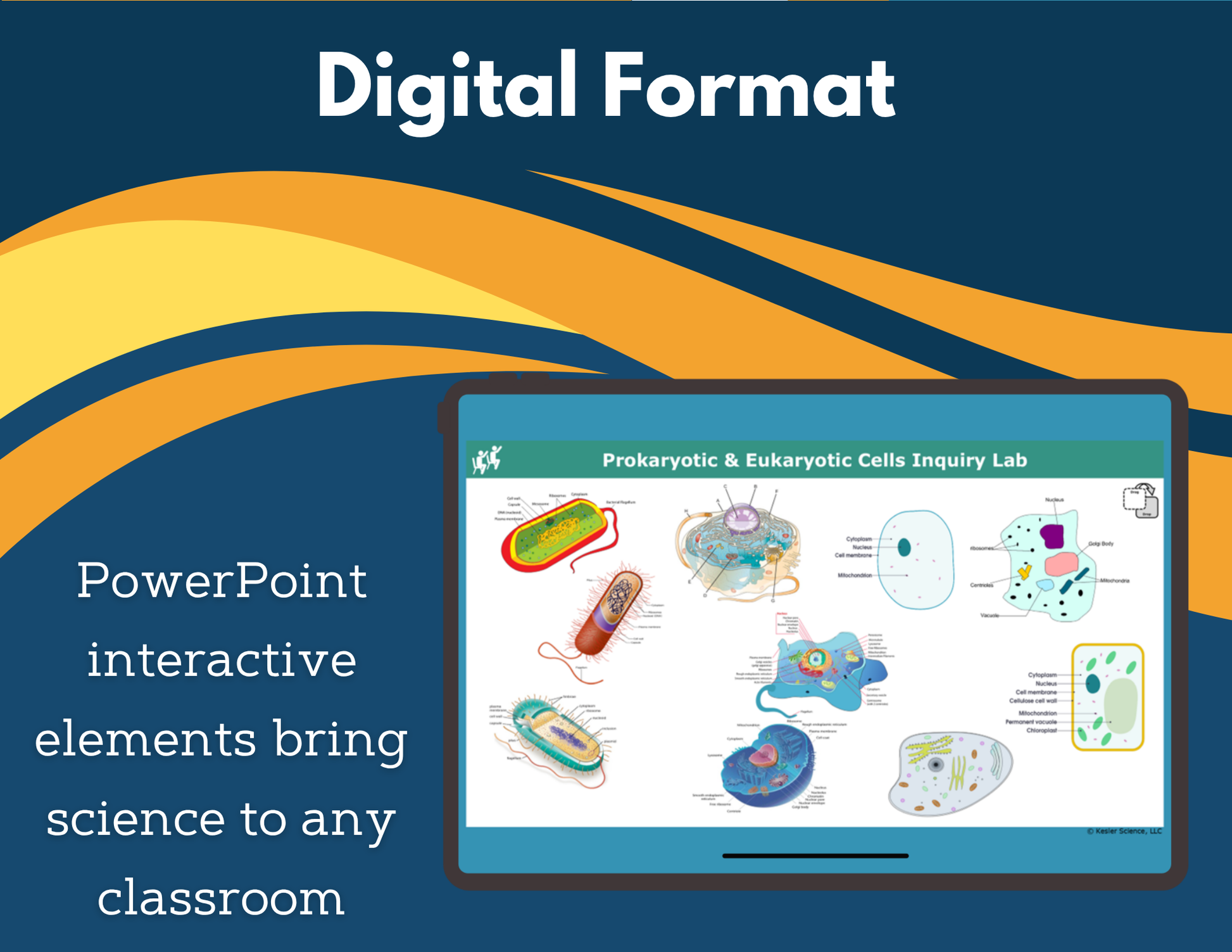 Prokaryotic & Eukaryotic Cells Digital Inquiry Lab - MS 6-8