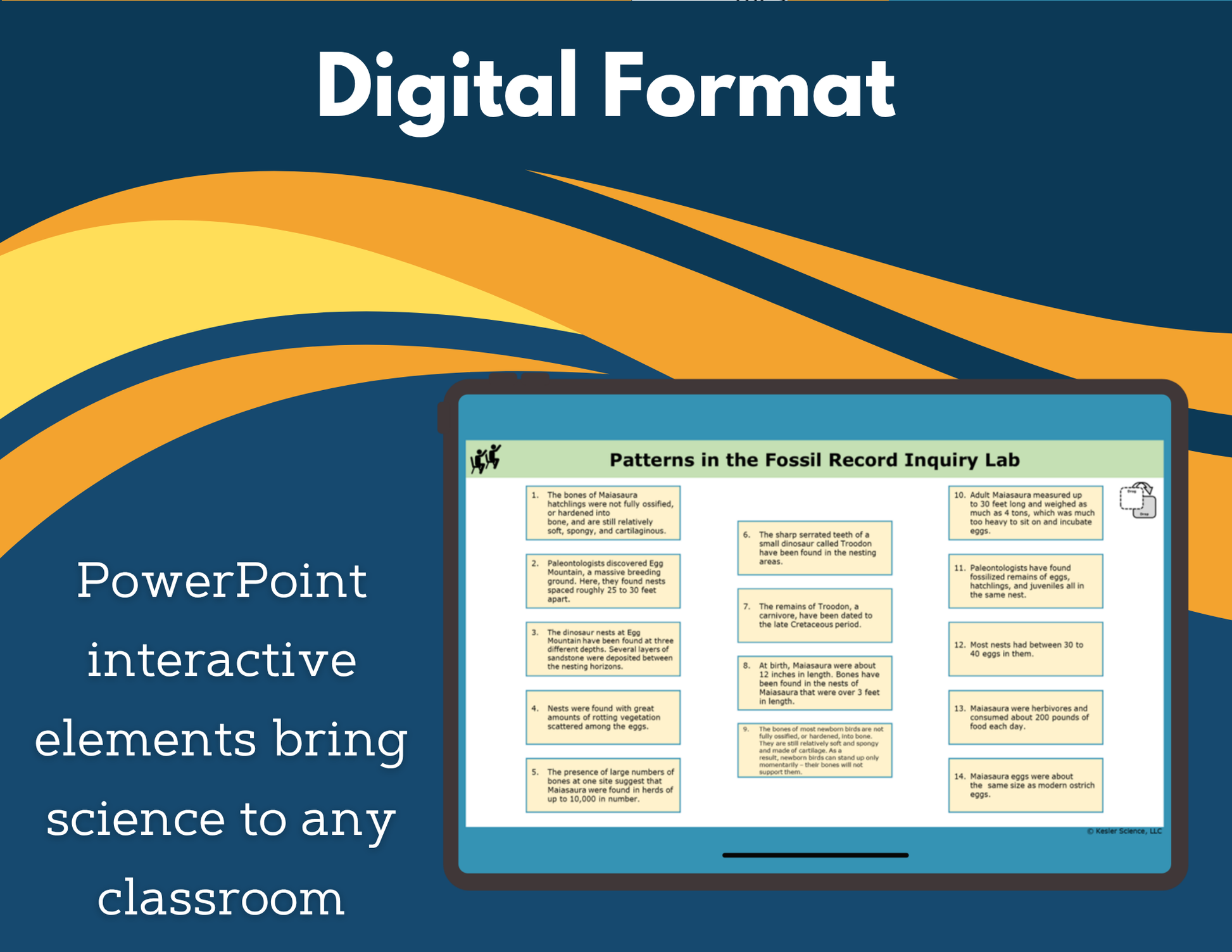 Patterns in the Fossil Record Digital Inquiry Lab - NGSS MS LS4-1