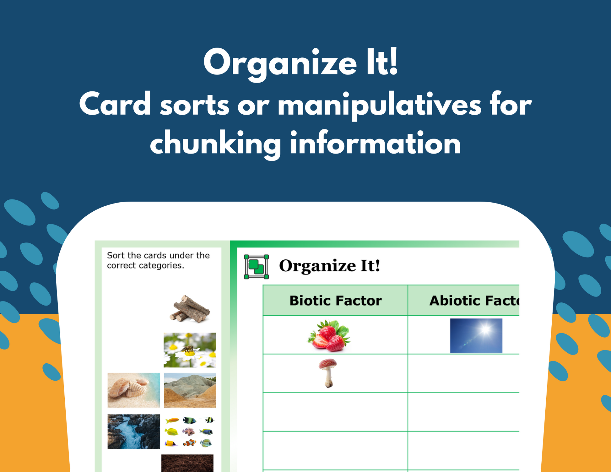 Behavioral Traits Student-Led Station Lab - Gr 5, New TEKS 5.13B