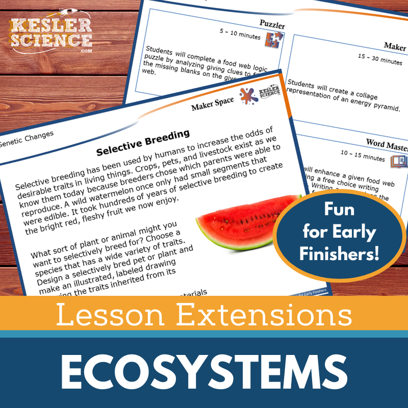 Lesson Extensions: Ecosystems