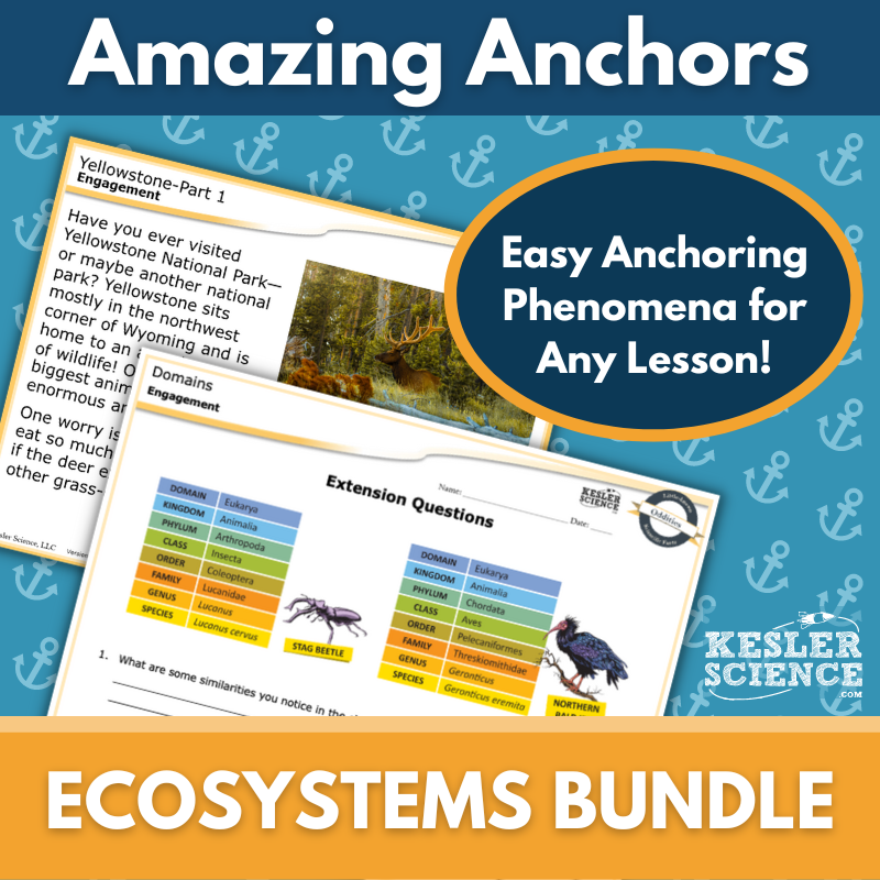 Amazing Anchors: Ecosystems Bundle - MS 6-8