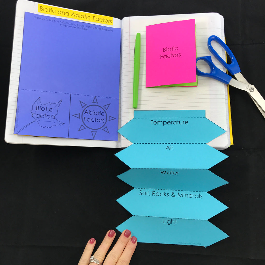 Inb Science Notebook Examples Interactive Notebook Bundle (INB) – Kesler Science Store