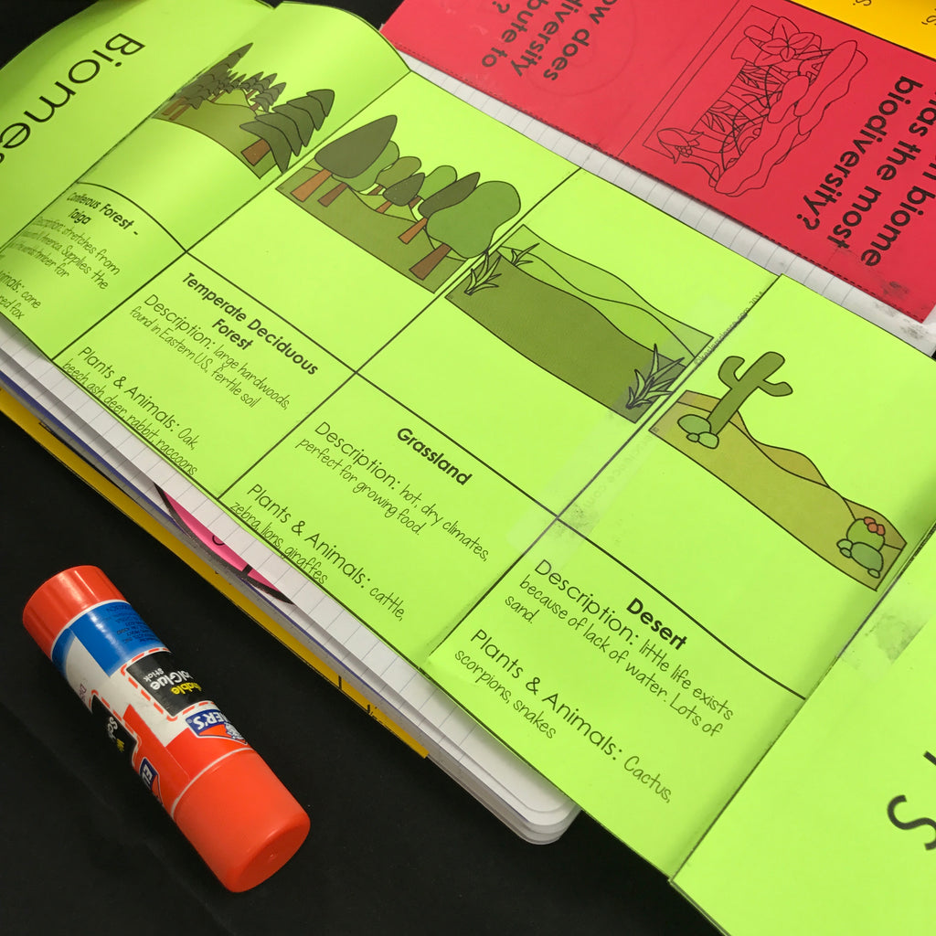 Interactive Notebook Bundle (INB)