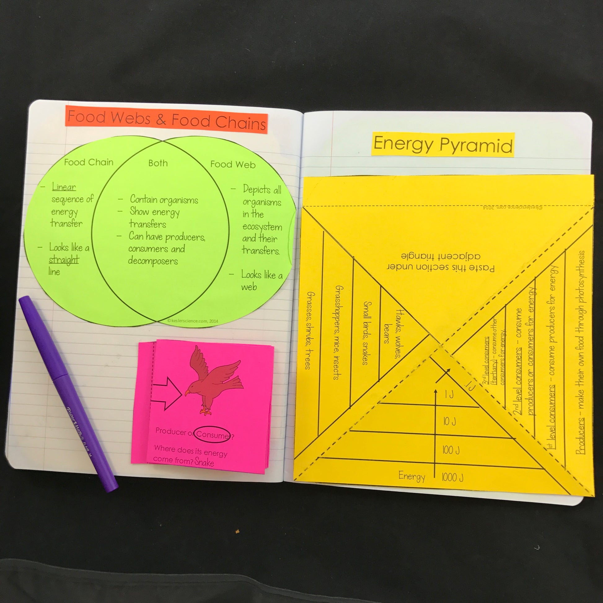 Interactive Notebook Bundle (INB)