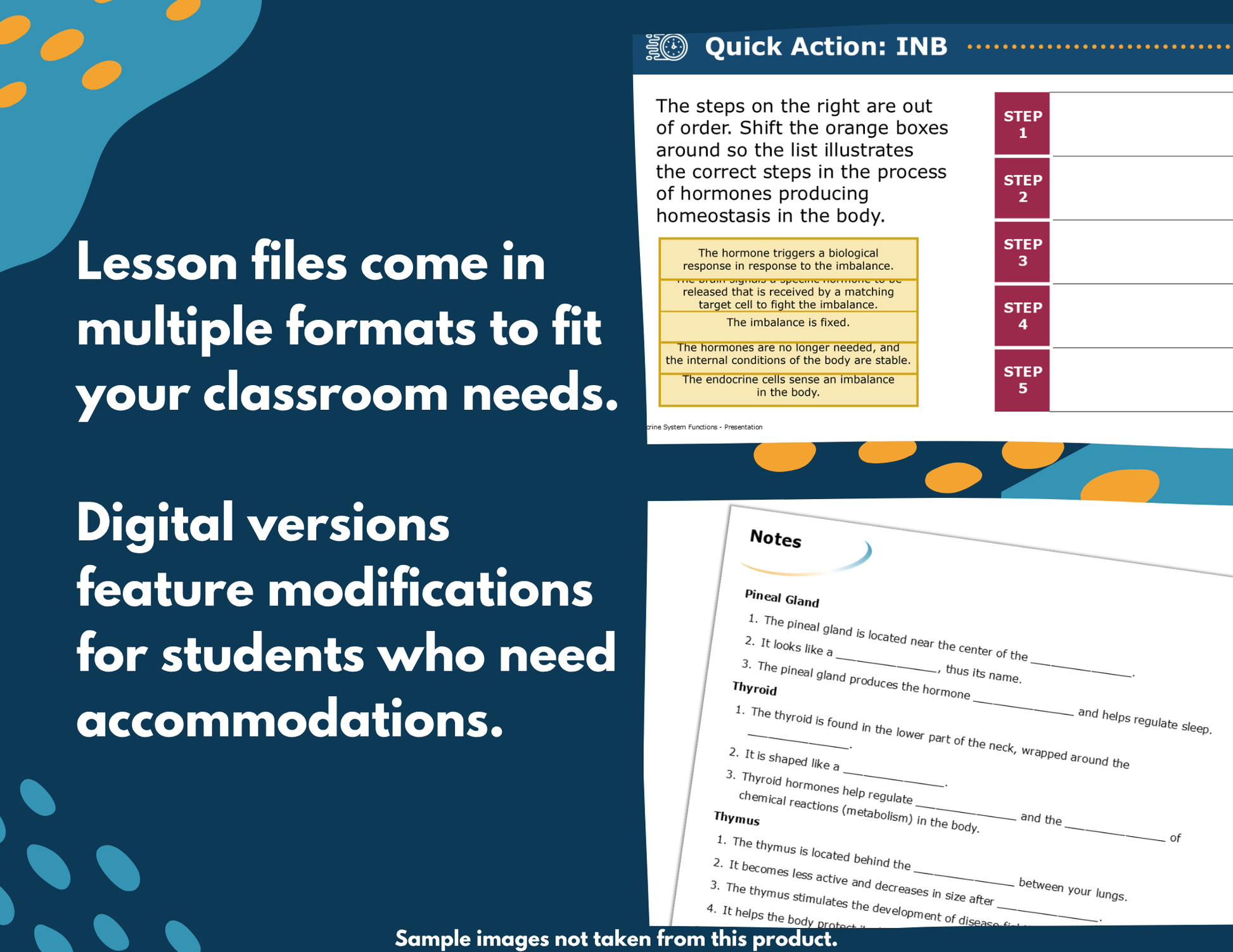 Digestive System Functions Complete Science Lesson - New TEKS 7.13A