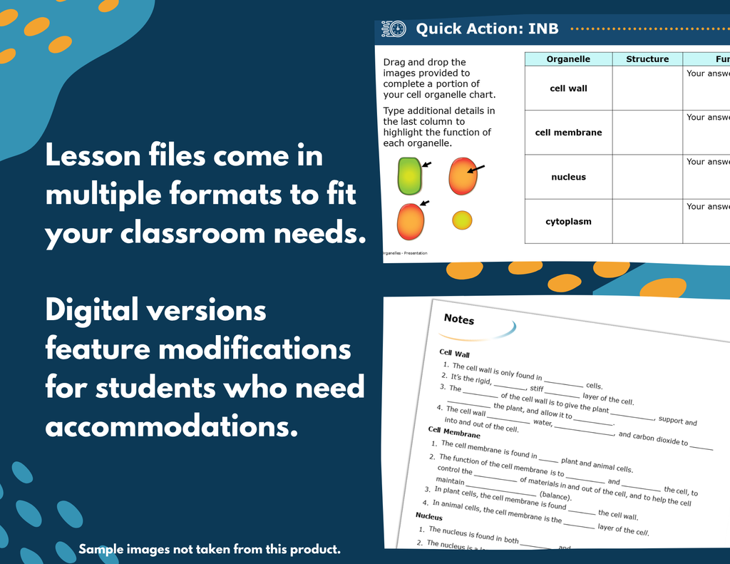 Cell Organelles Complete Science Lesson - New TEKS 8.13A
