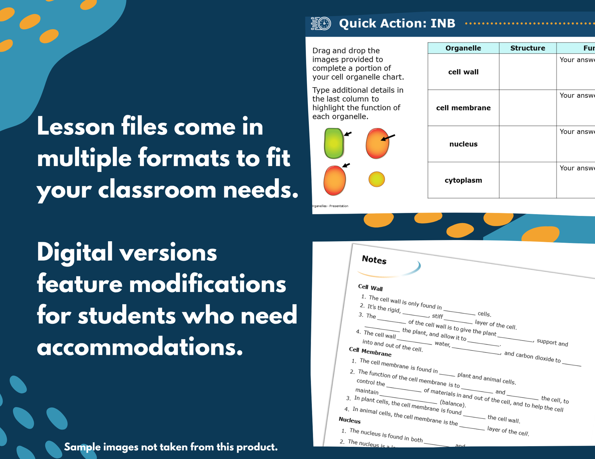 Cell Organelles Complete Science Lesson - New TEKS 8.13A
