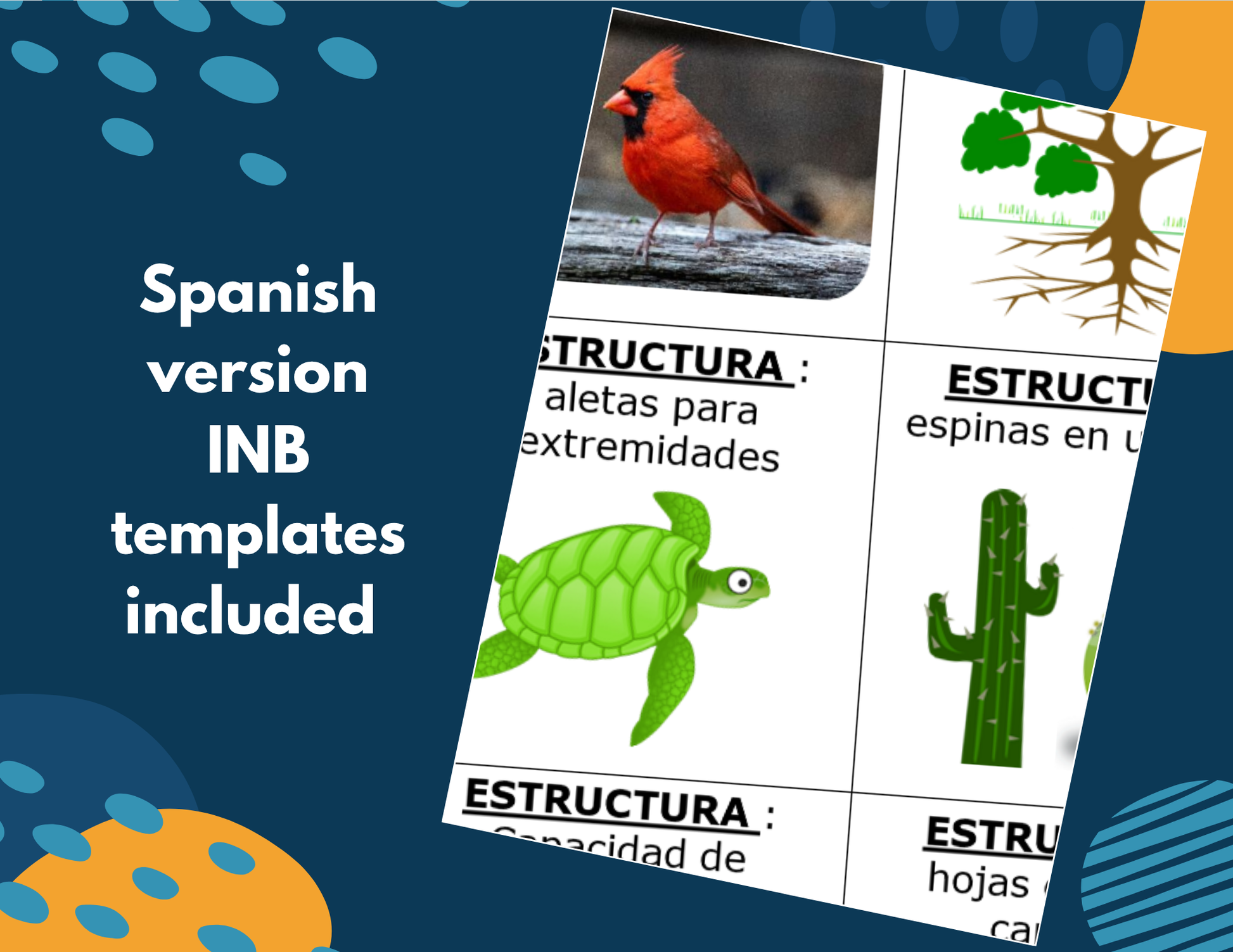 2021 TEKS 5E Lessons: 4th Grade Life Science Bundle