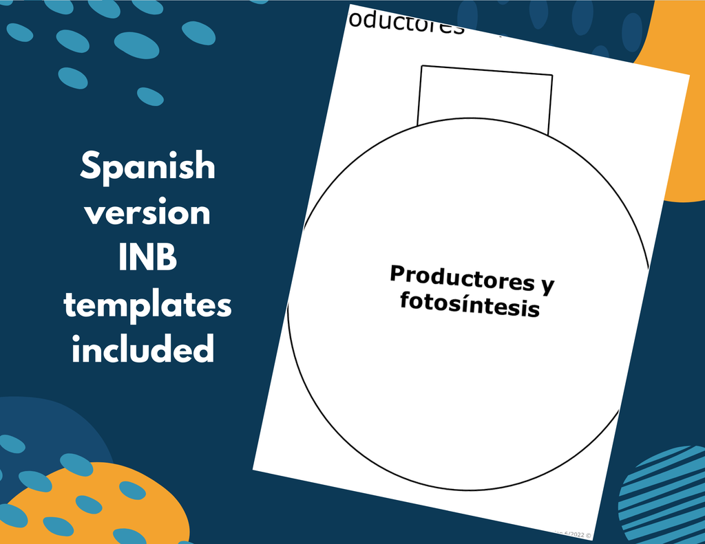 Producers & Consumers - Complete Lesson Plan - 4th Grade