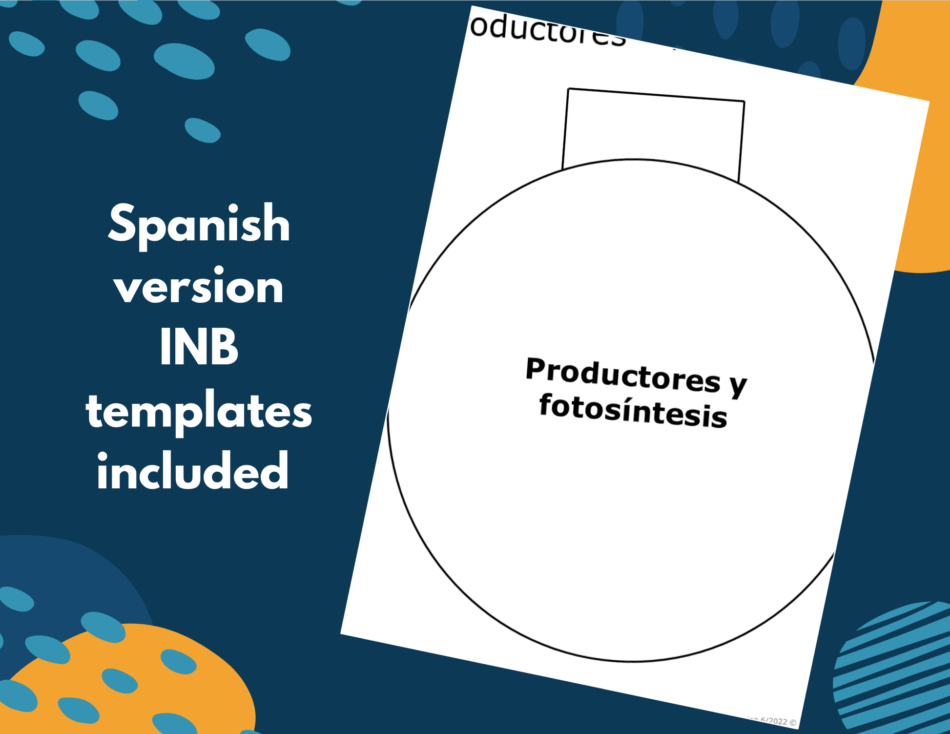 Producers & Consumers - Complete Lesson Plan - 4th Grade