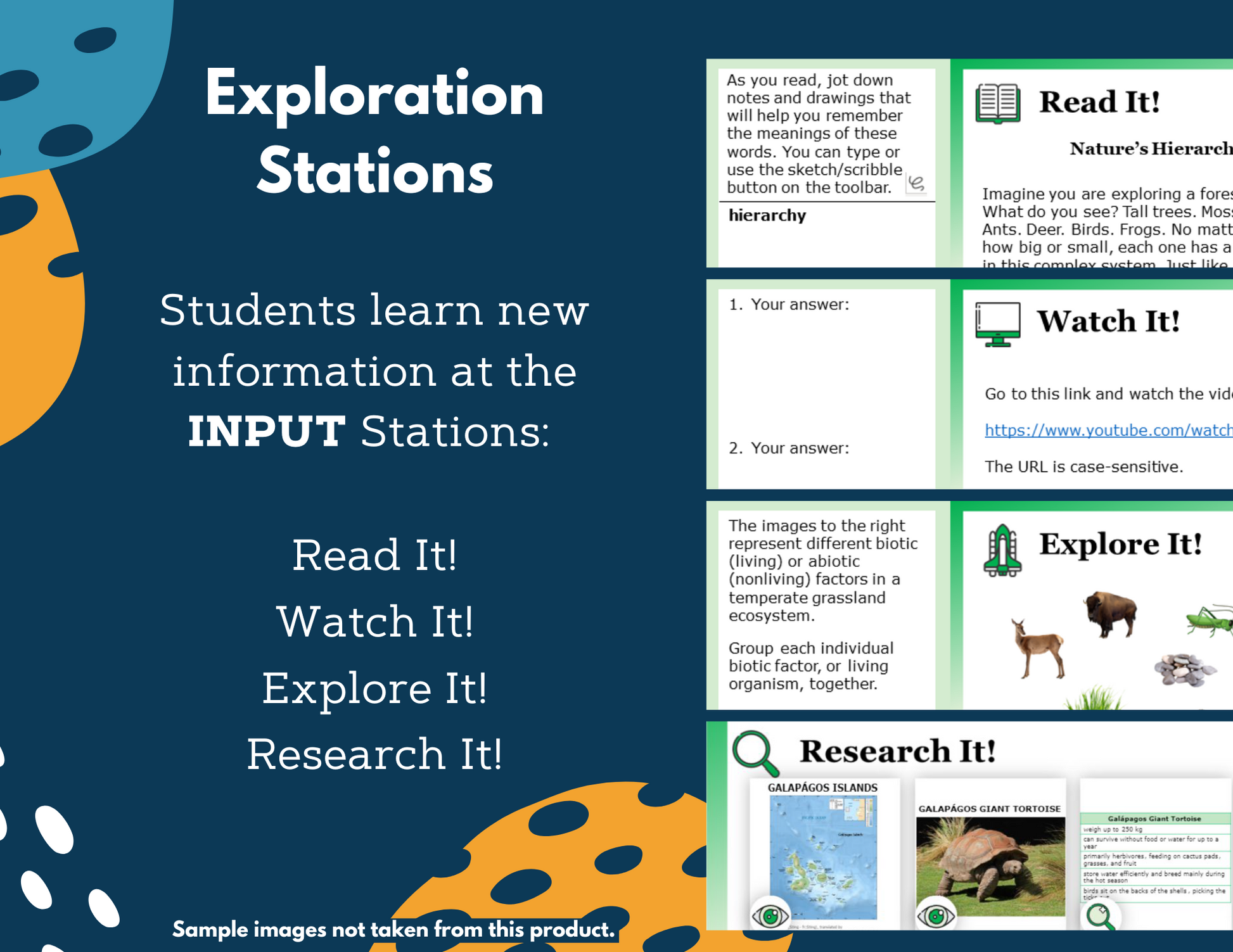 Adaptations for Survival Complete Science Lesson - New TEKS 8.13C