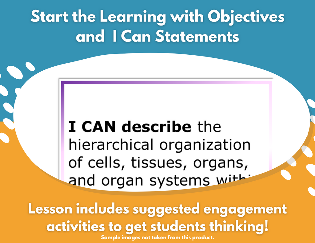 Comparing Organisms Complete Science Lesson - New TEKS 6.13B