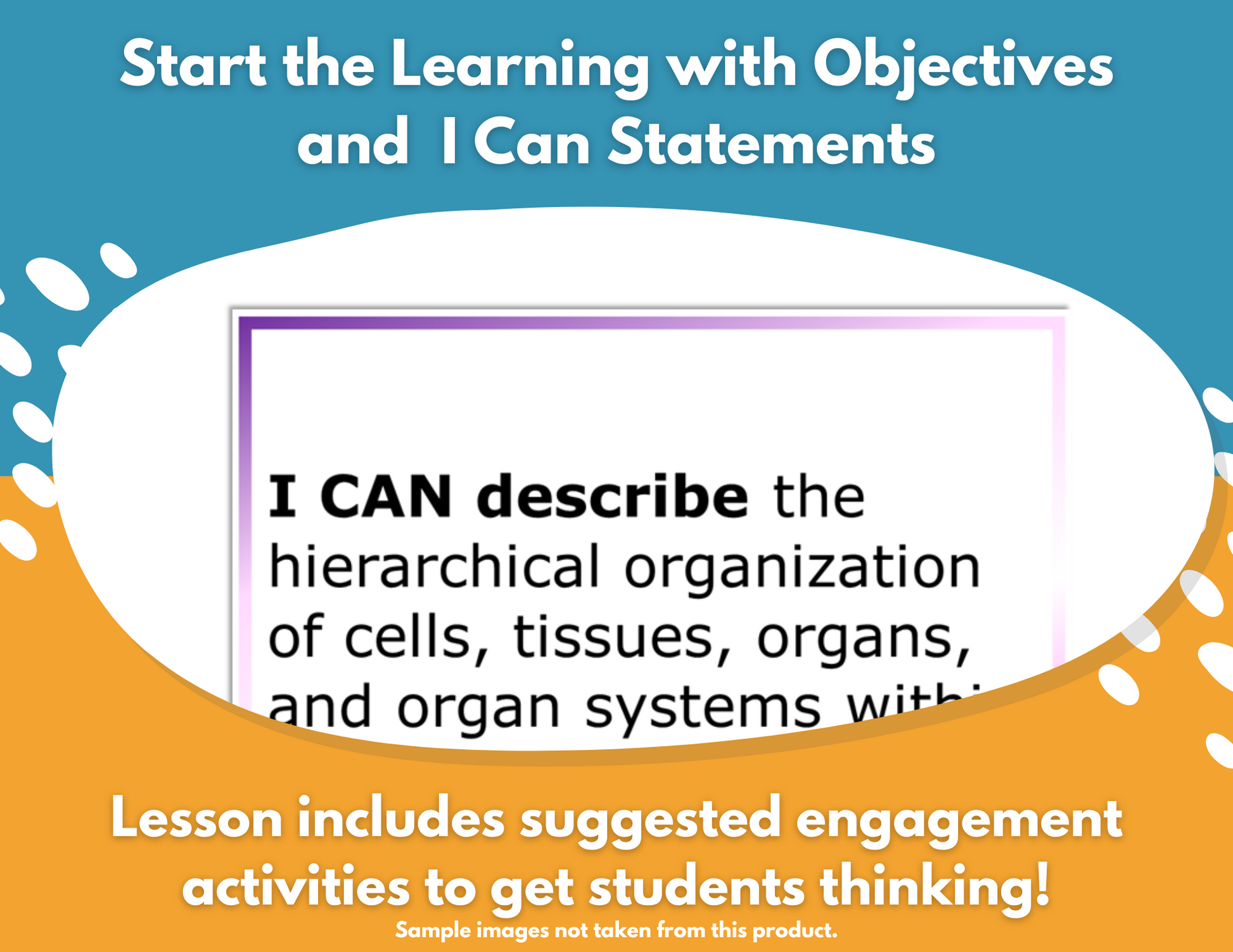 Comparing Organisms Complete Science Lesson - New TEKS 6.13B