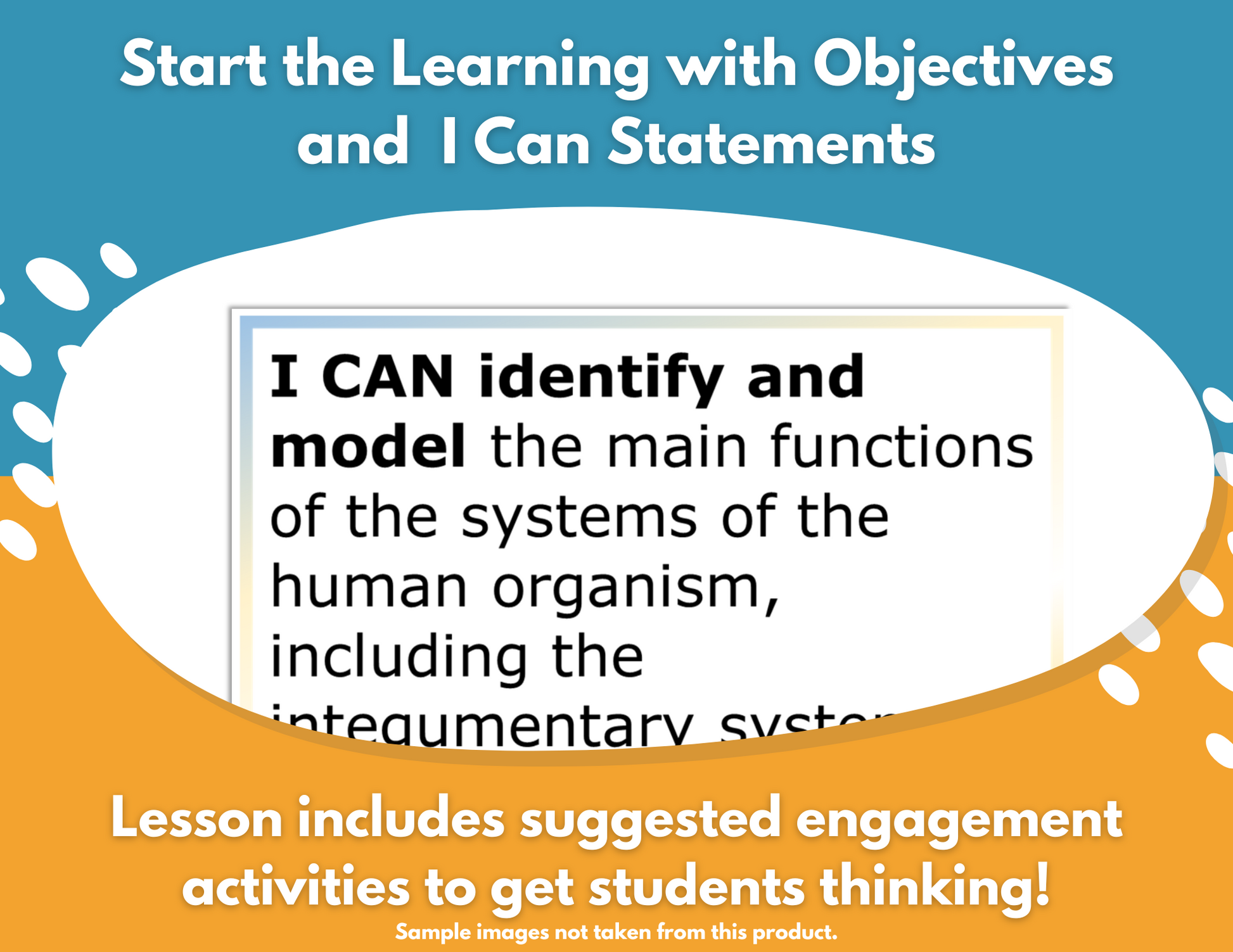 Endocrine System Functions Complete Science Lesson - New TEKS 7.13A