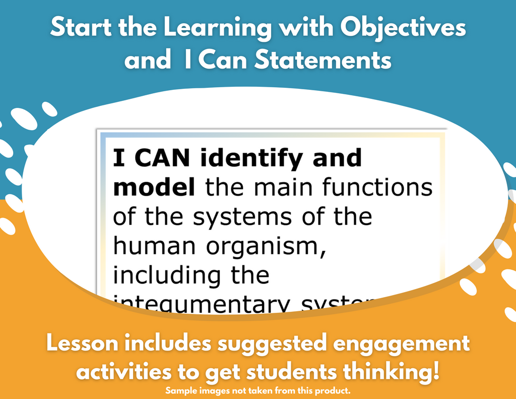 Circulatory System Functions Complete Science Lesson - New TEKS 7.13A