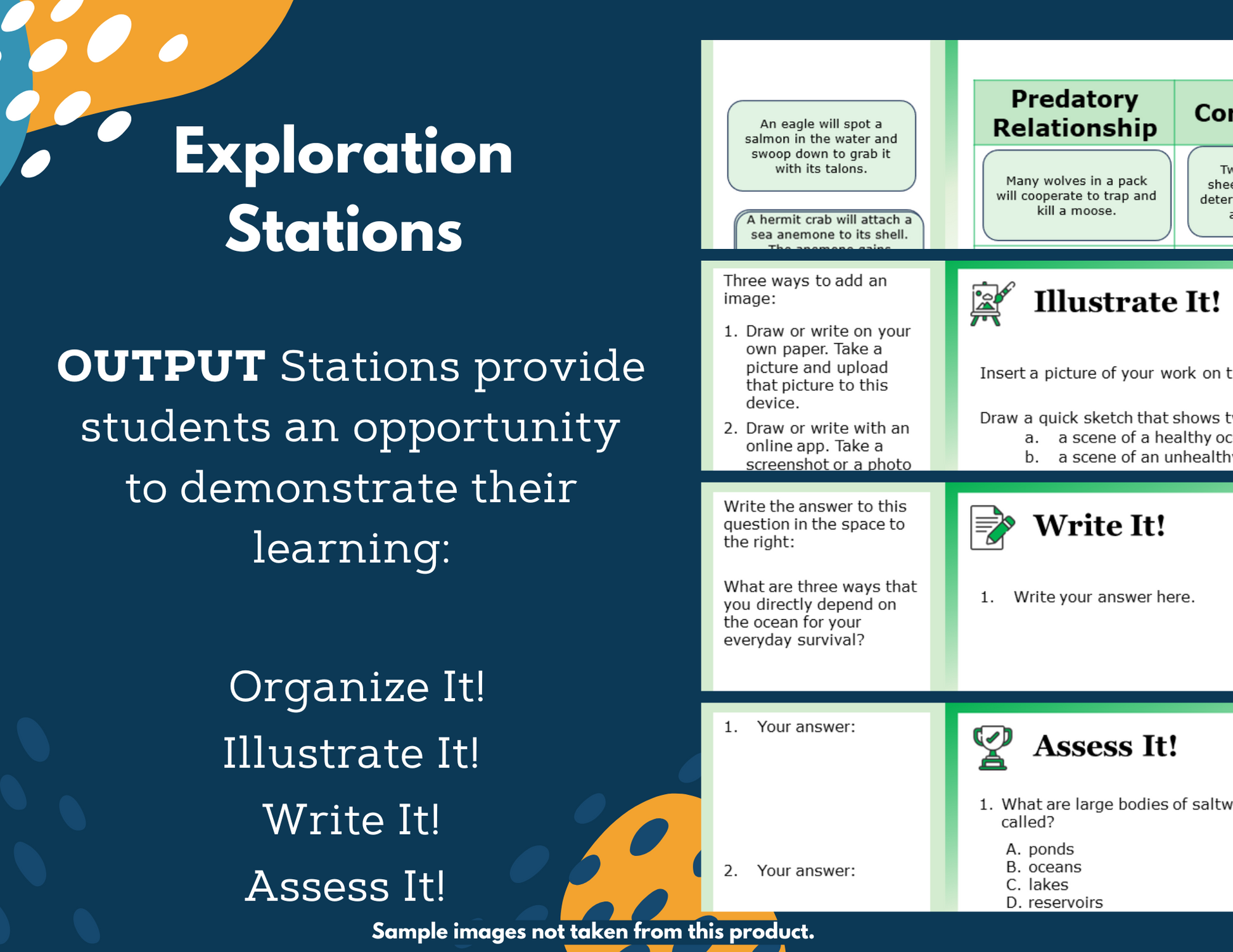 Adaptations for Survival Complete Science Lesson - New TEKS 8.13C