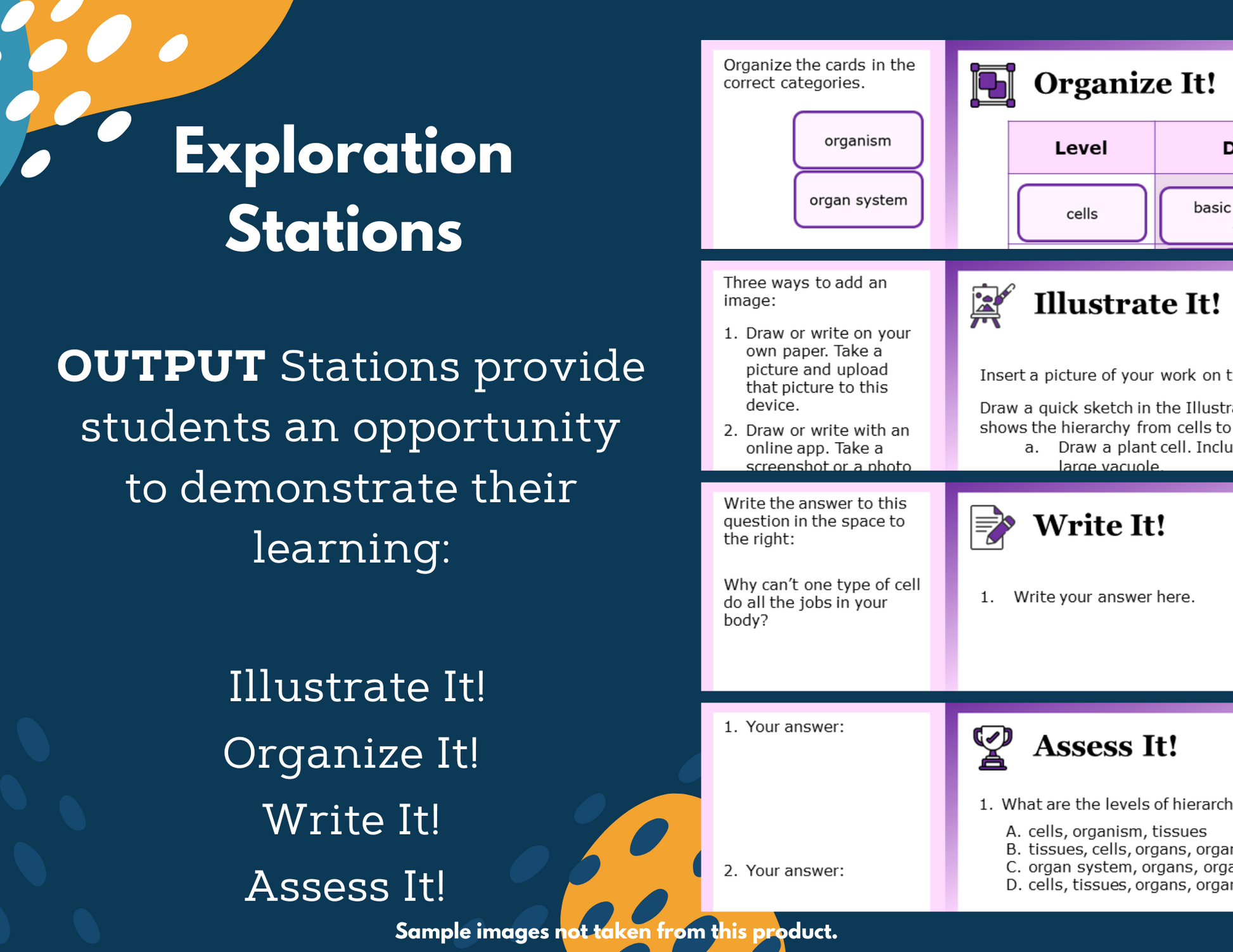 Comparing Organisms Complete Science Lesson - New TEKS 6.13B