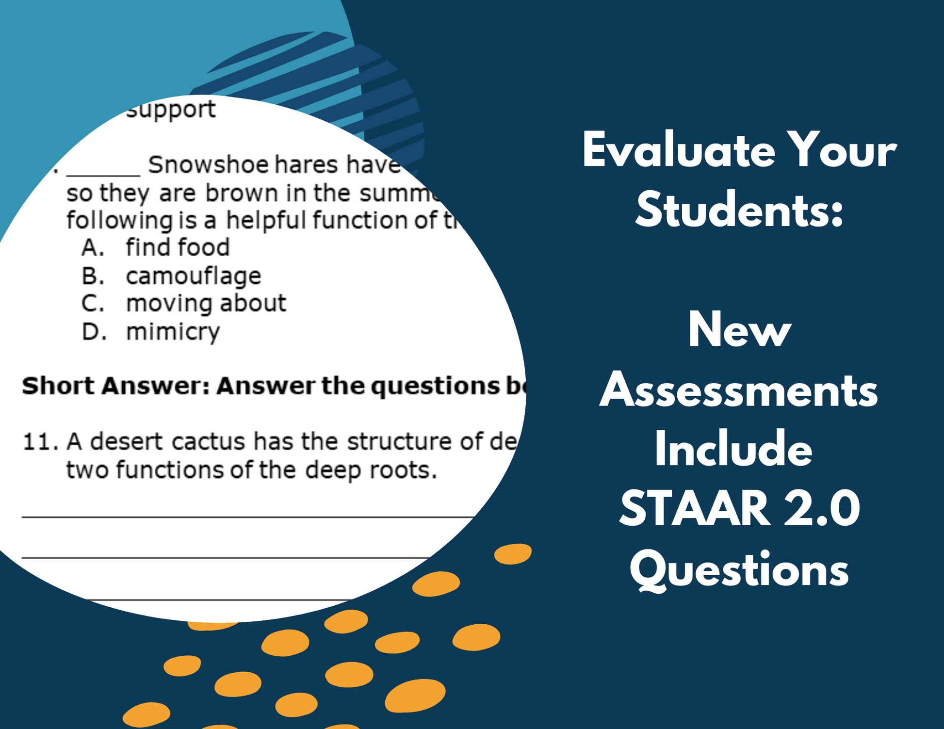 Structures & Functions - Complete Lesson Plan - Grades 4-6