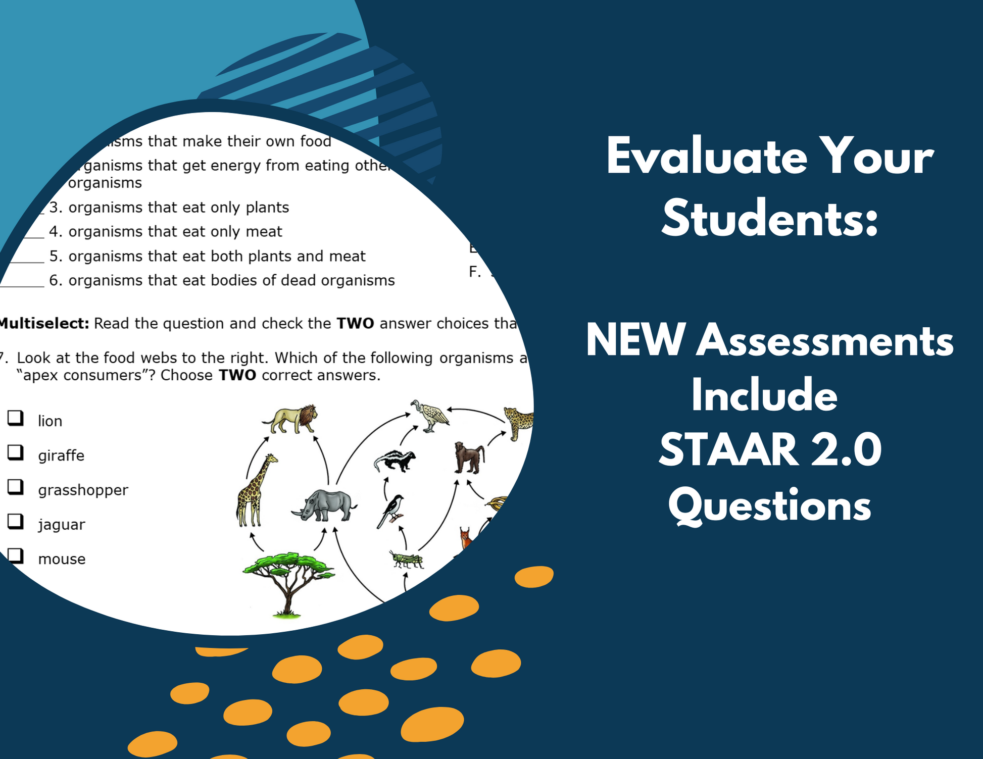 Food Webs & Food Chains Complete Lesson Plan - MS