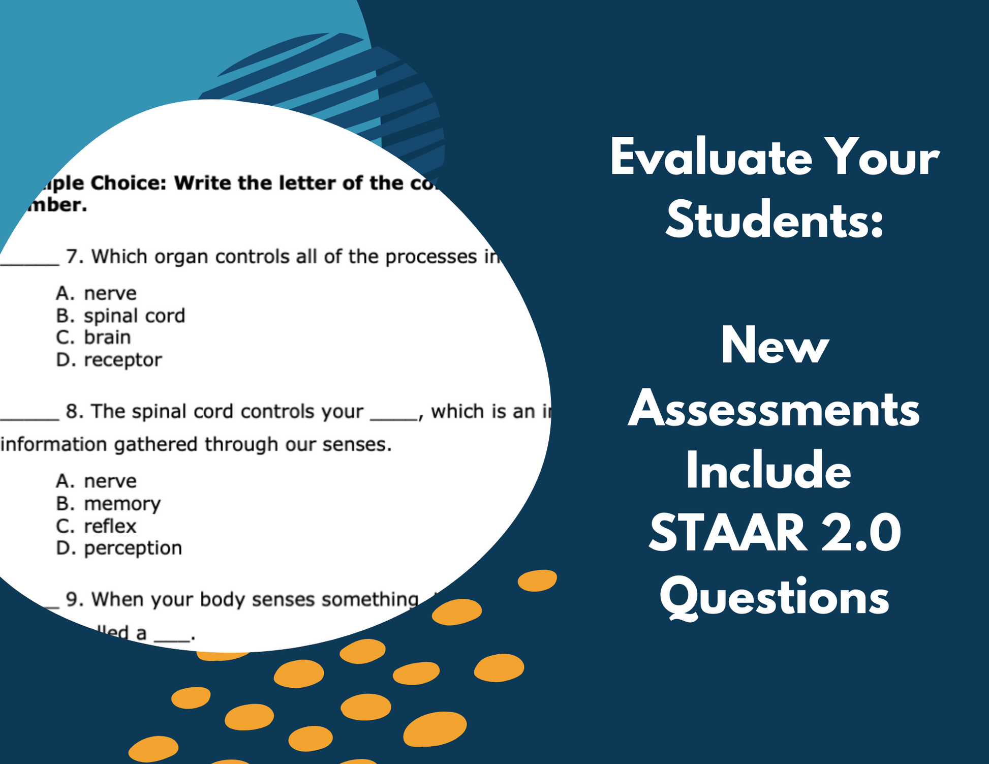 Senses - Receiving & Responding to Information - Complete Lesson Plan - 4th Gr
