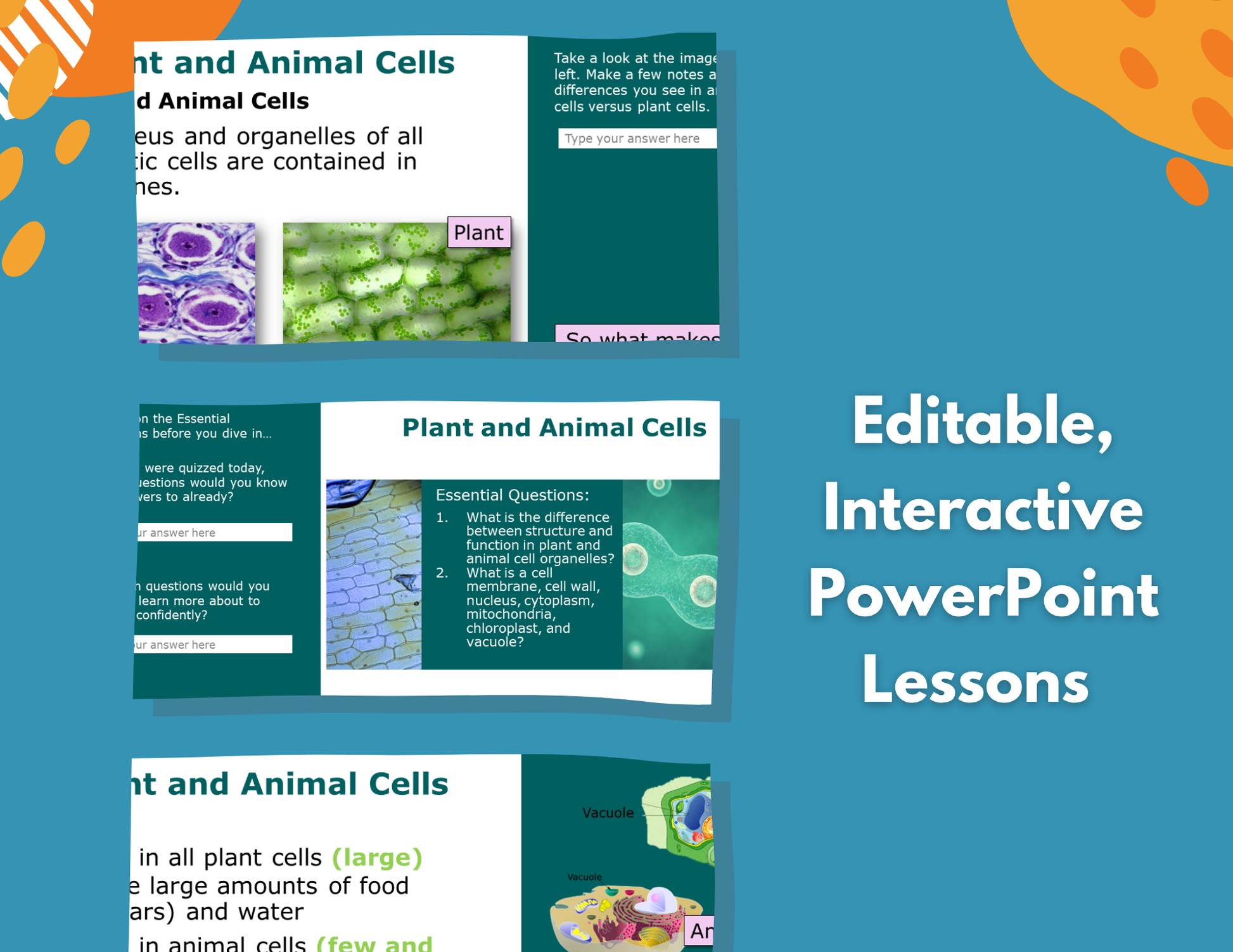 Plant & Animal Cells Complete Lesson Plan - MS