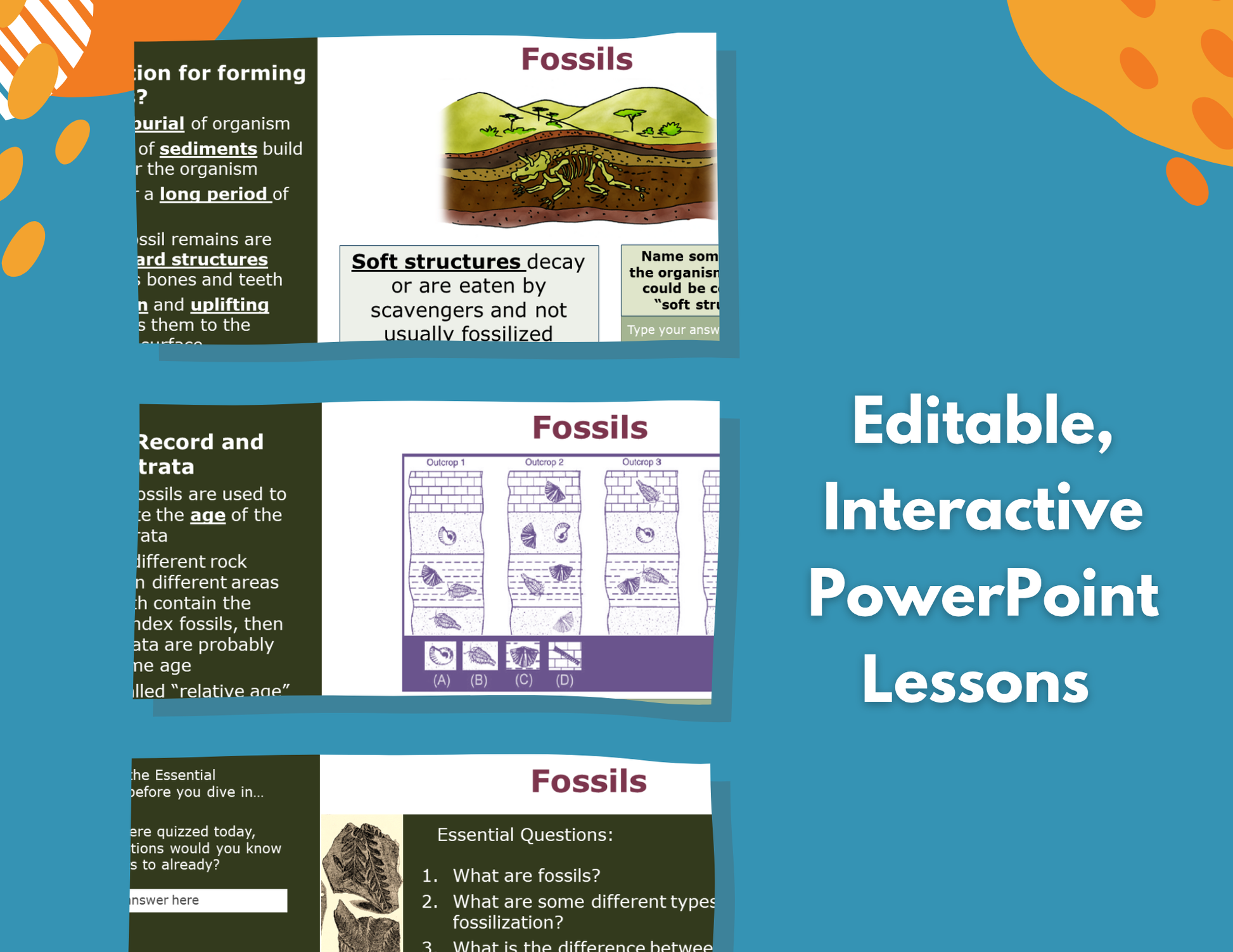 Fossils Complete Lesson Plan - MS
