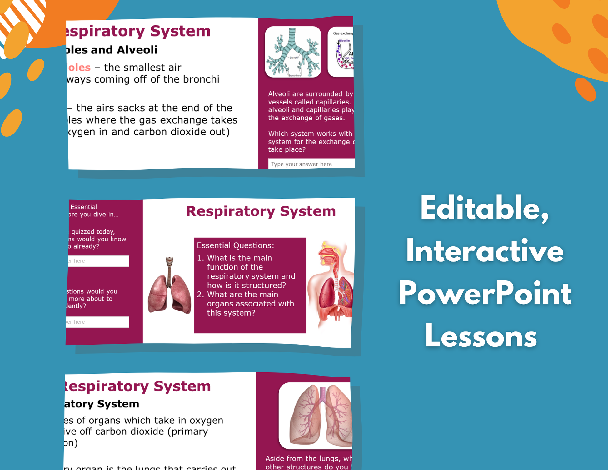 2021 TEKS MS 6-8 5E Lessons: Body Systems Bundle