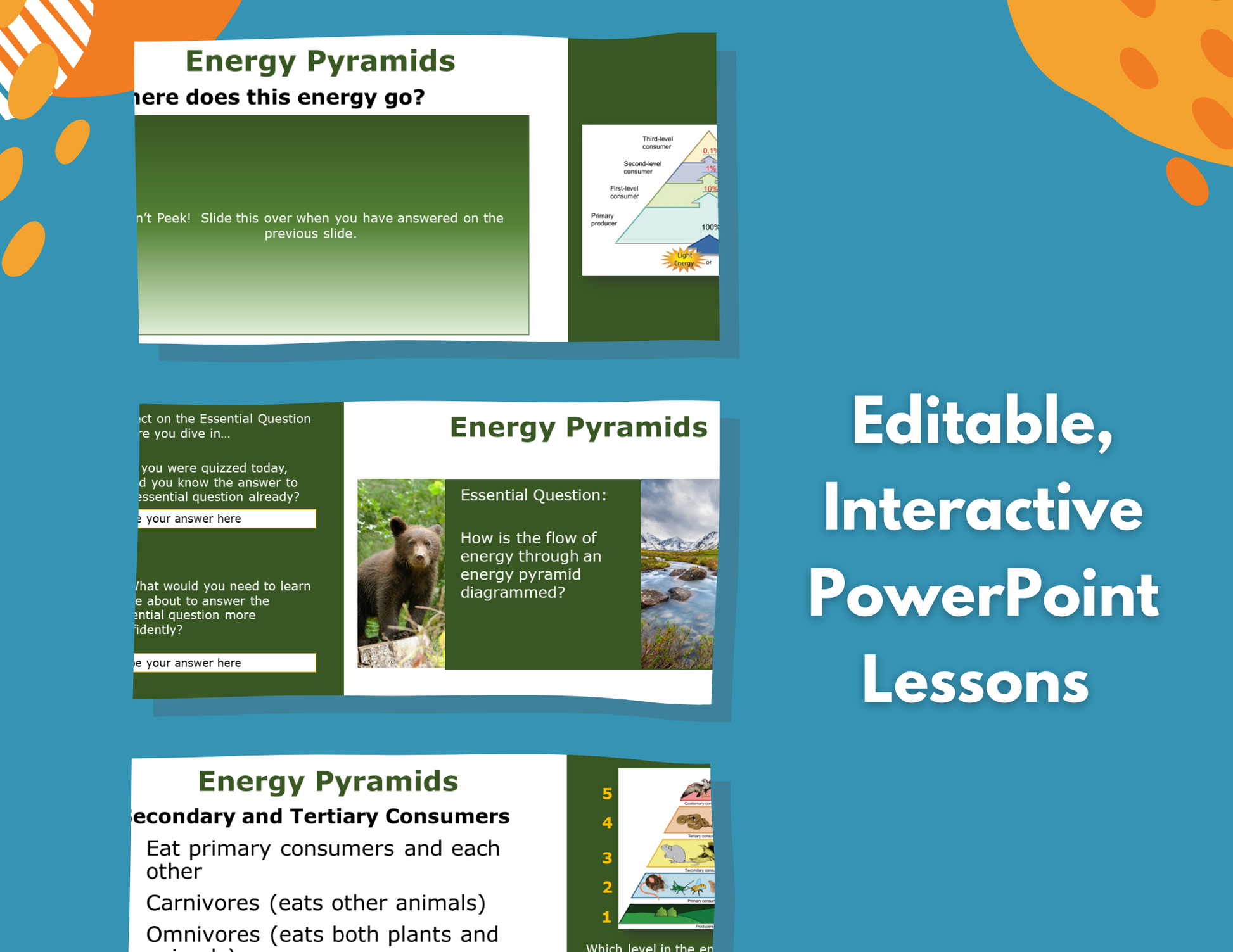 Energy Pyramids Complete Lesson Plan - MS