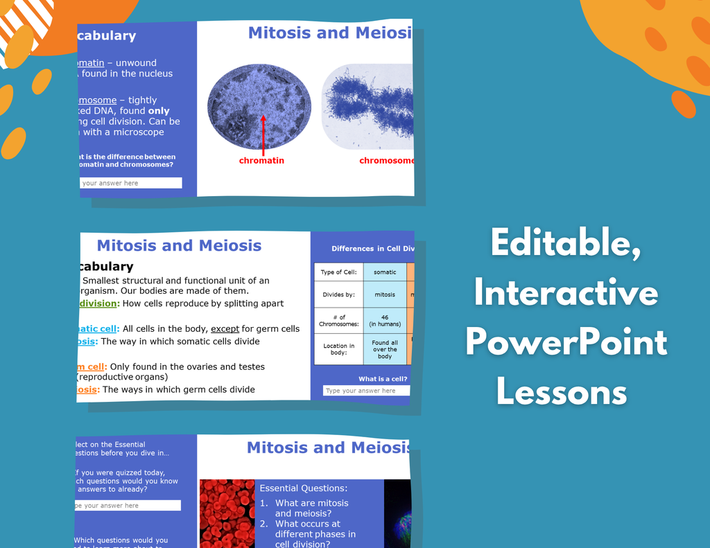 Mitosis & Meiosis Complete Lesson Plan - MS