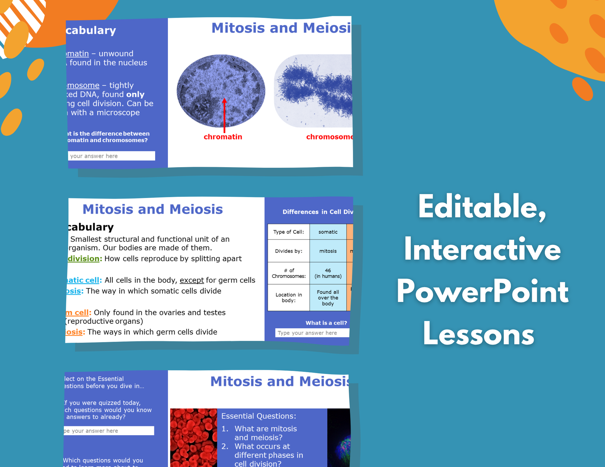 Mitosis & Meiosis Complete Lesson Plan - MS
