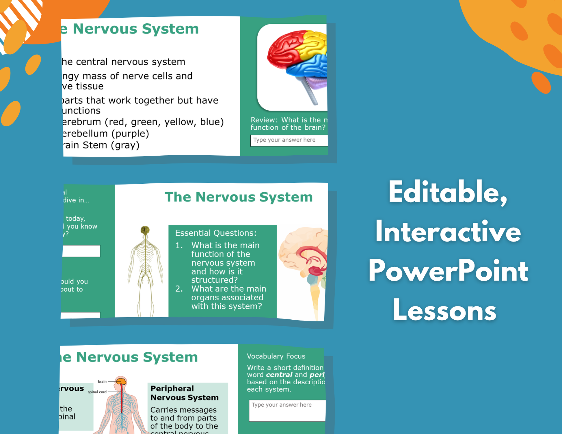 Nervous System Complete Lesson Plan - MS