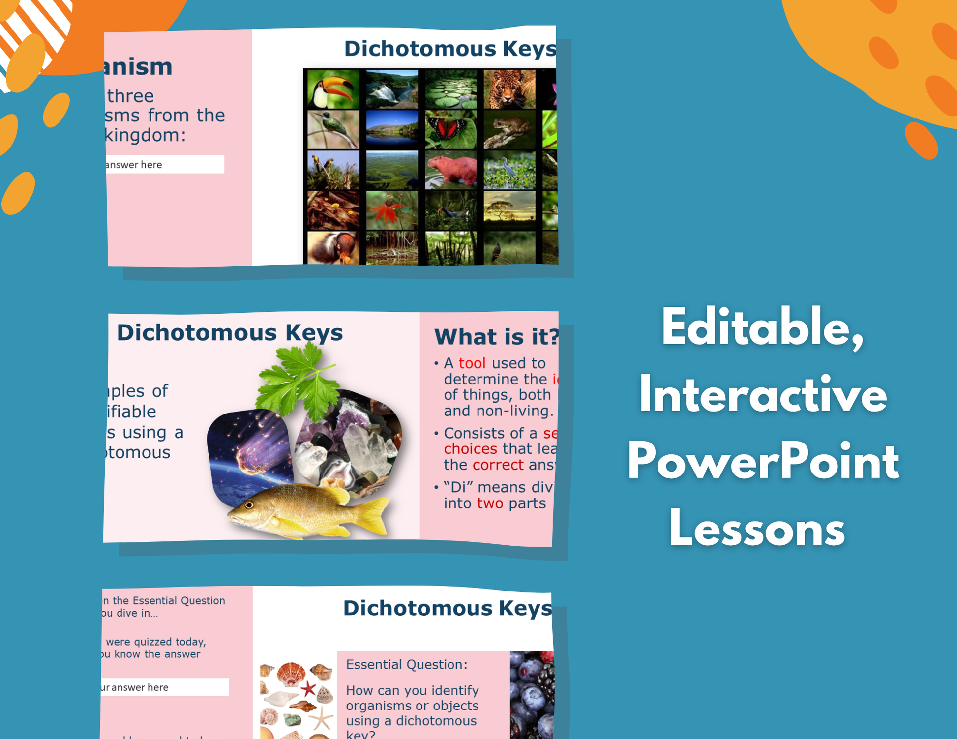 2021 TEKS MS 6-8 5E Lessons: Structure of Life Bundle