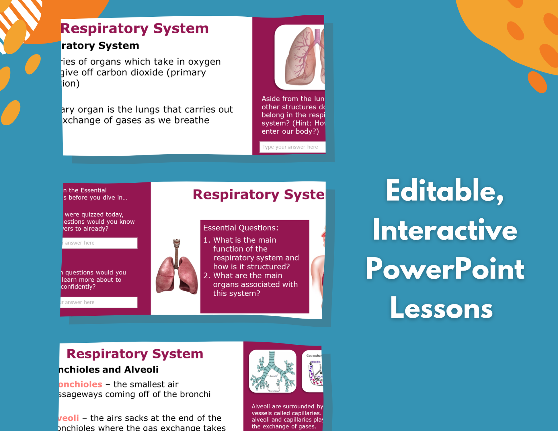 Respiratory System Complete Lesson Plan - MS