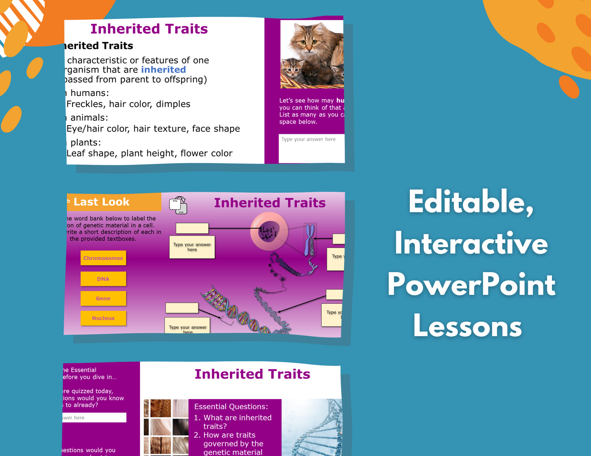 Inherited Traits & DNA Complete Lesson Plan - MS