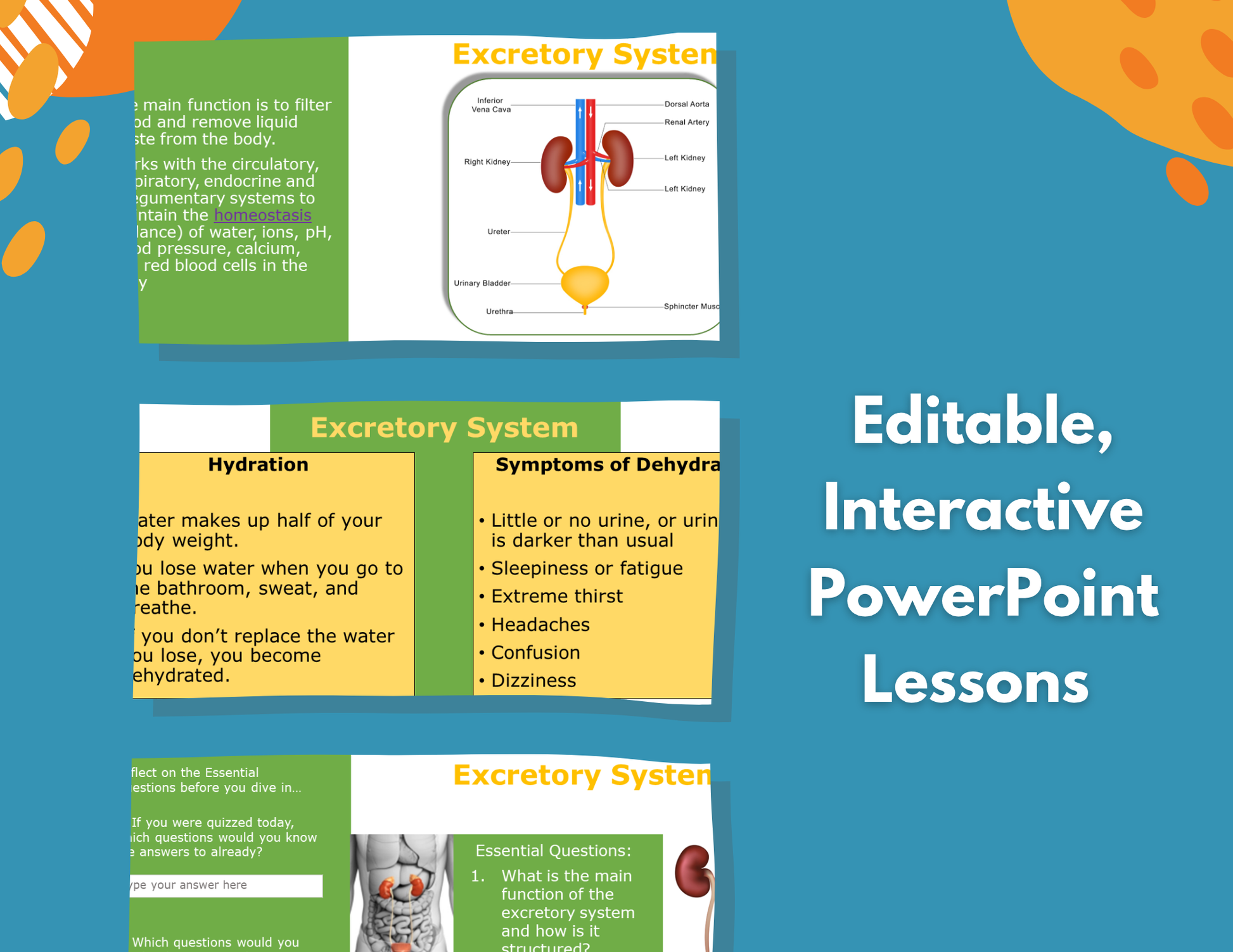 Excretory System Complete Lesson Plan - MS