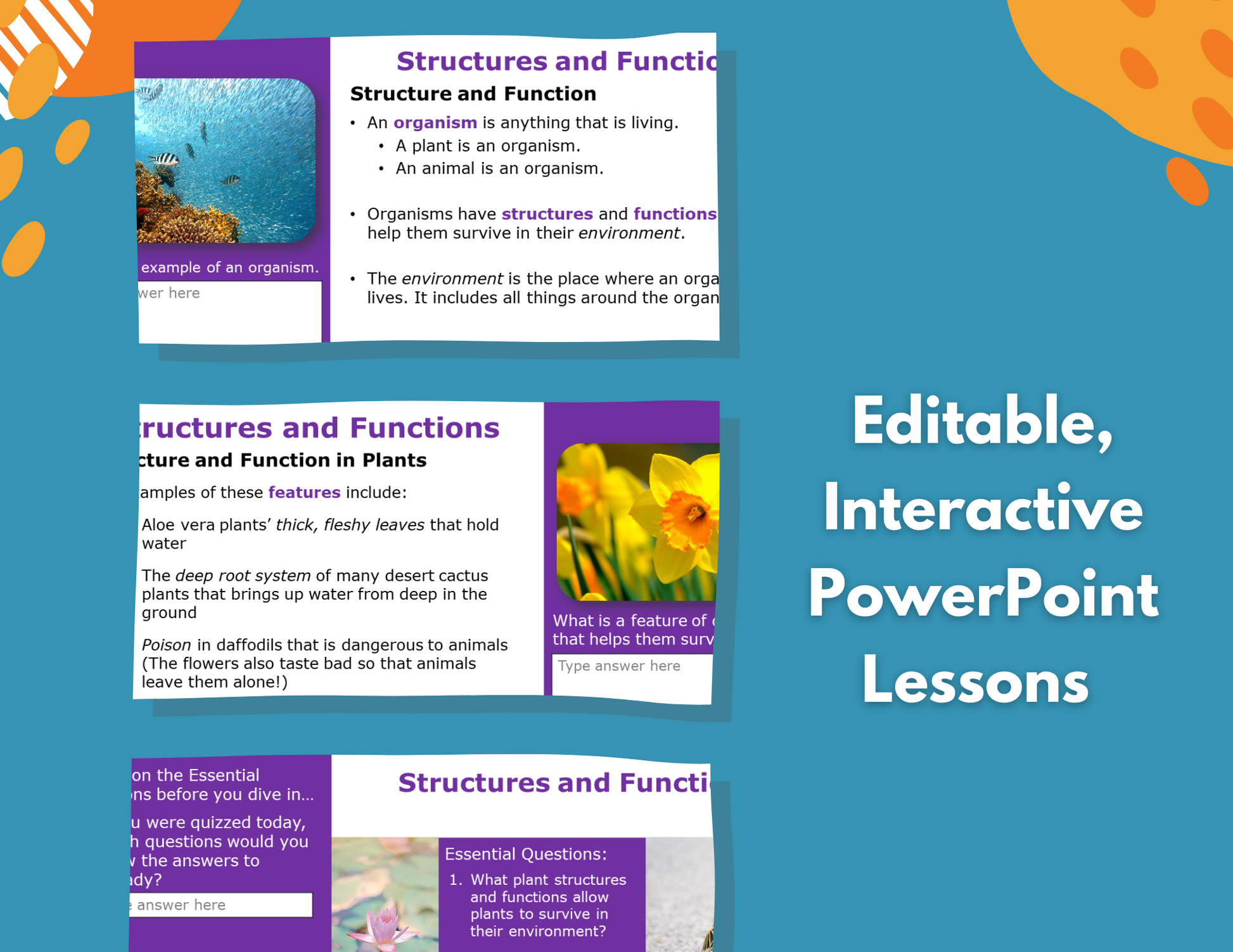 Structures & Functions - Complete Lesson Plan - Grades 4-6