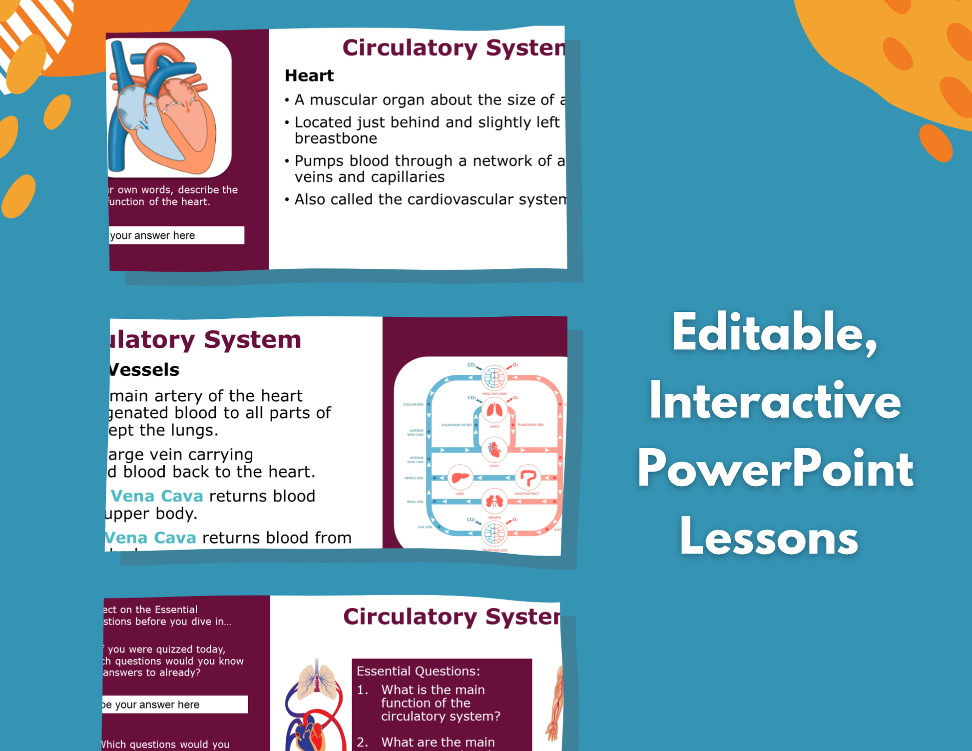 Circulatory System Complete Lesson Plan - MS