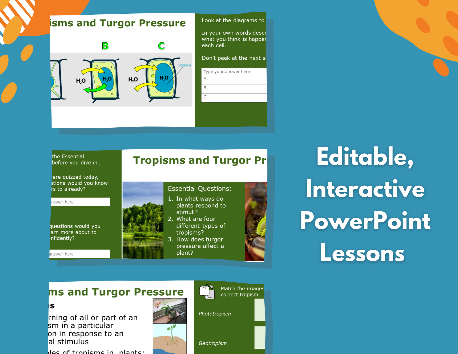 Tropisms & Turgor Pressure Complete Lesson Plan - MS