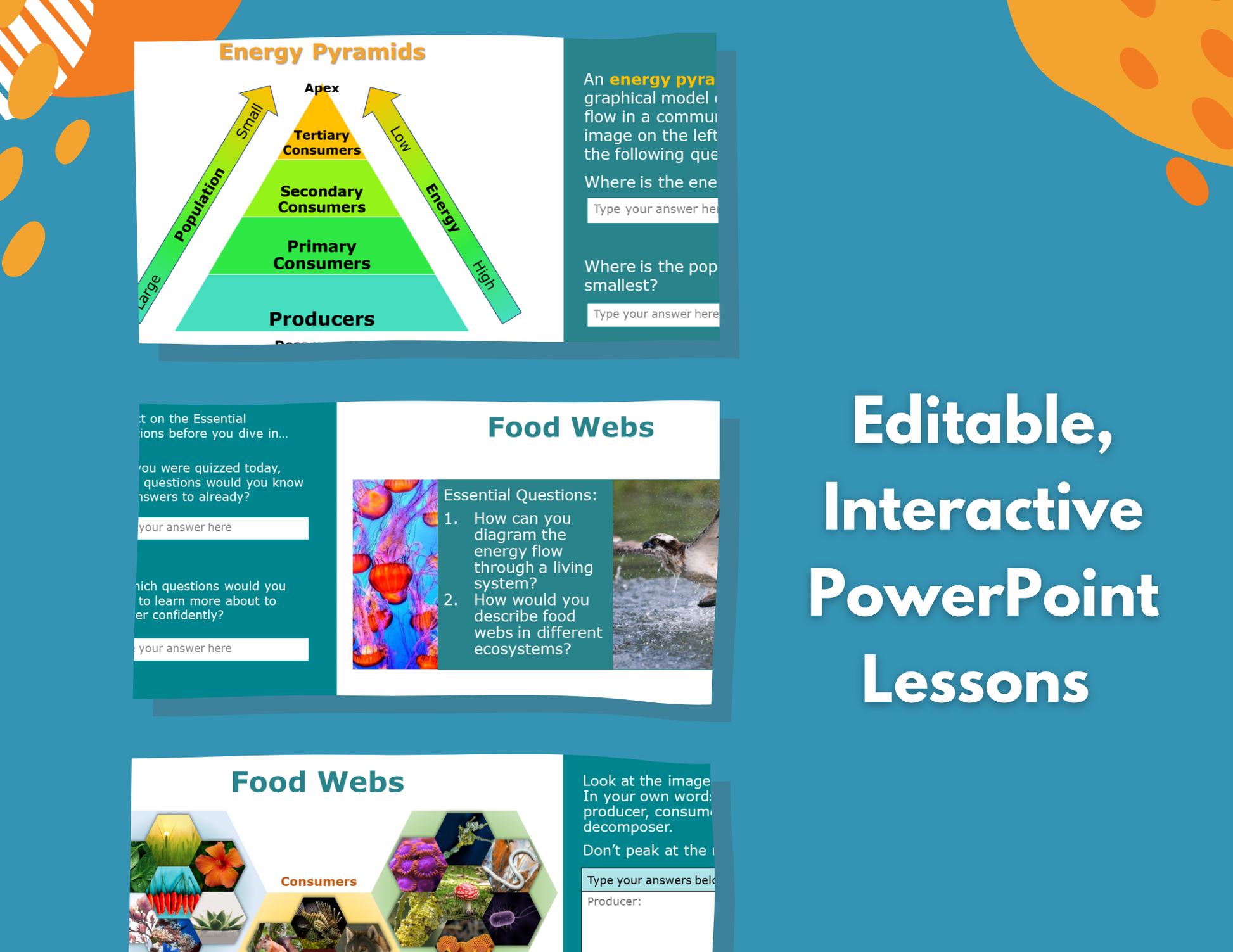Food Webs & Food Chains Complete Lesson Plan - MS