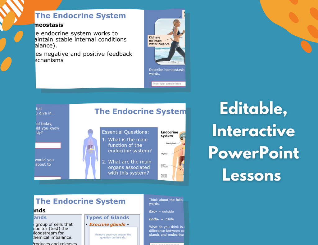 Endocrine System Complete Lesson Plan - MS
