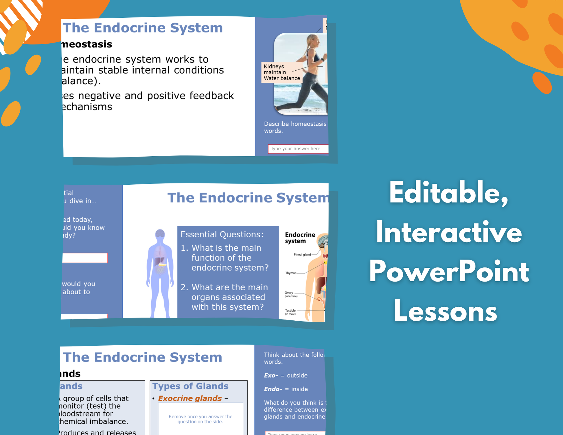Endocrine System Complete Lesson Plan - MS