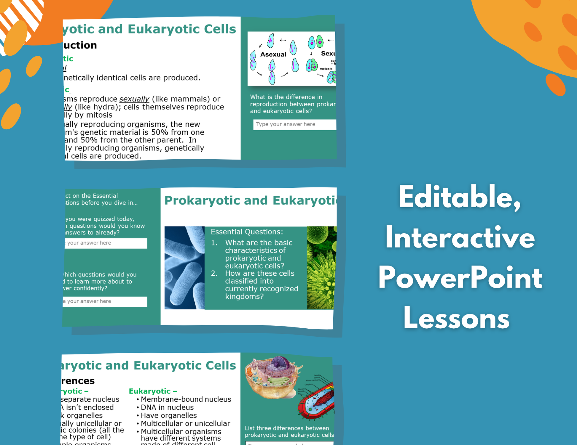 Prokaryotic & Eukaryotic Cells Complete Lesson Plan - MS