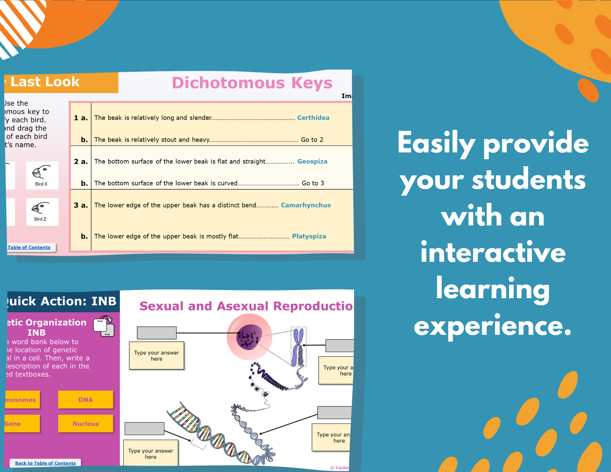 Structure of Life Interactive Notebook Pages - Digital & Print INB - MS 6-8