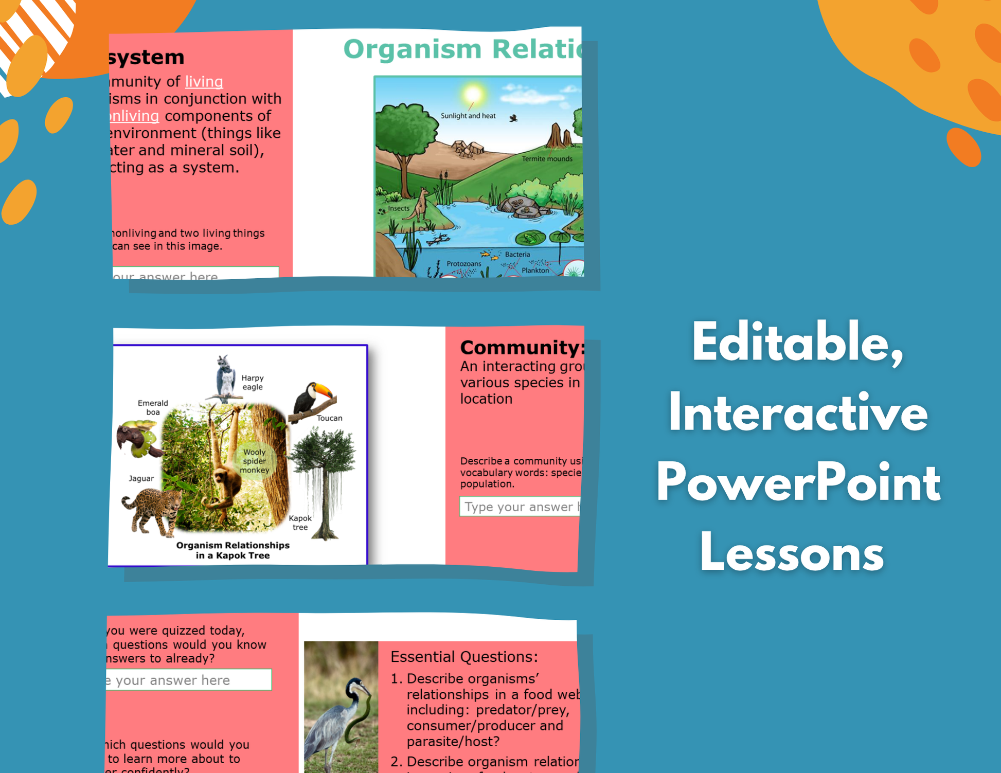 Organism Relationships Complete Lesson Plan - MS