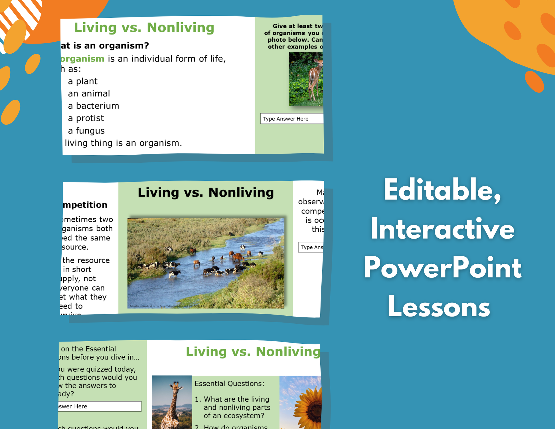 Living vs. Nonliving - Complete Lesson Plan - 5th Grade