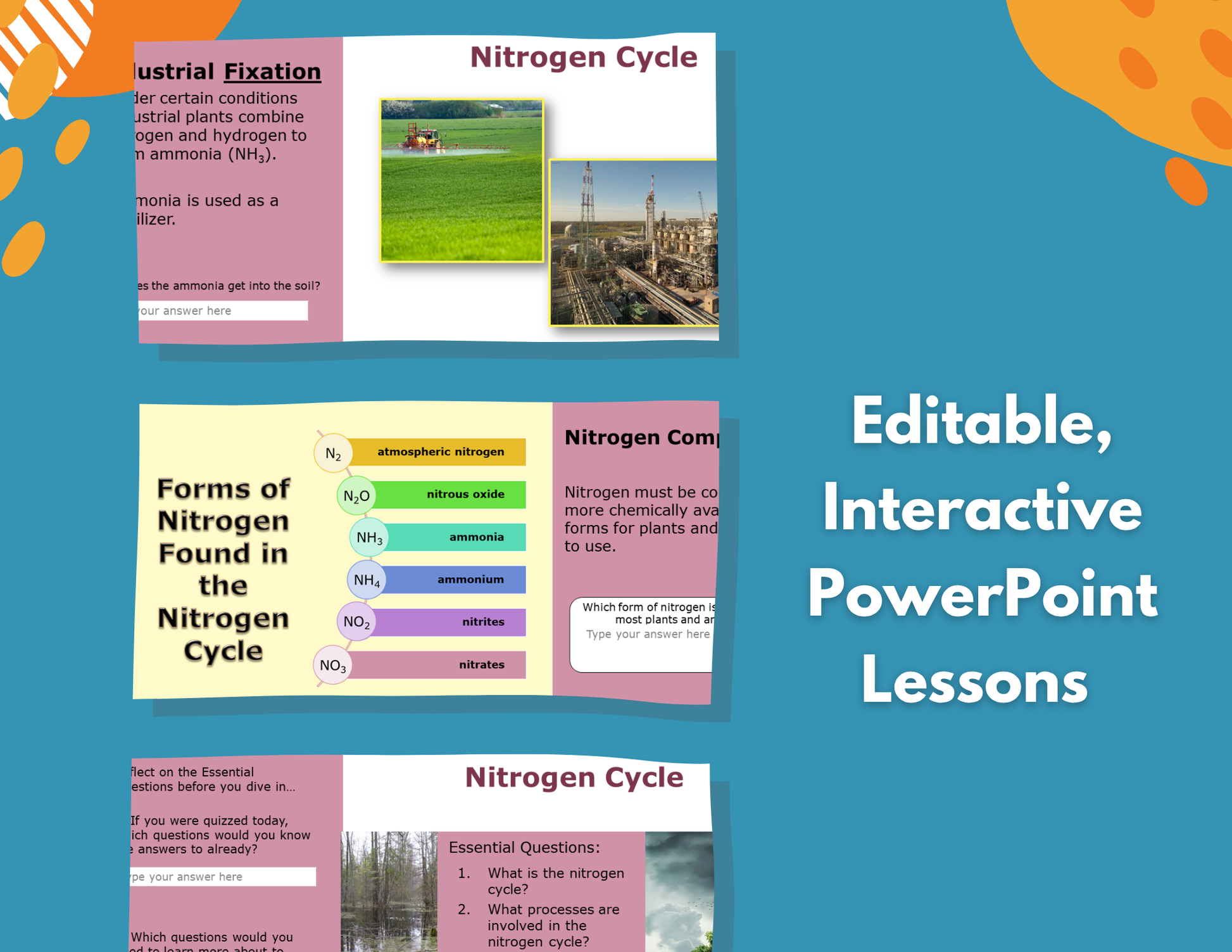 Nitrogen Cycle Complete Lesson Plan - MS
