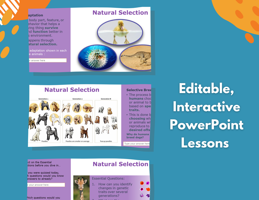 Natural Selection Complete Lesson Plan - MS