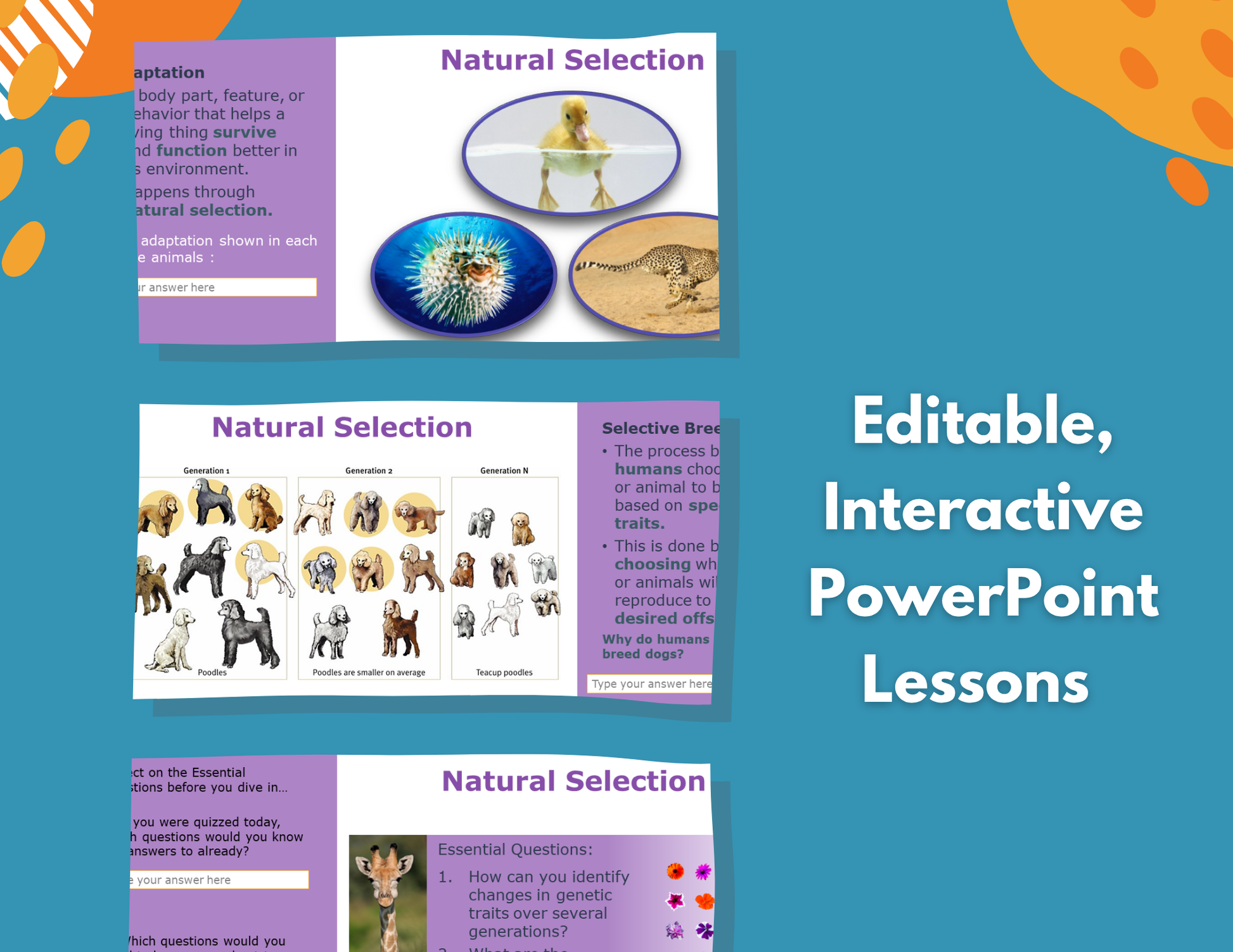 Natural Selection Complete Lesson Plan - MS