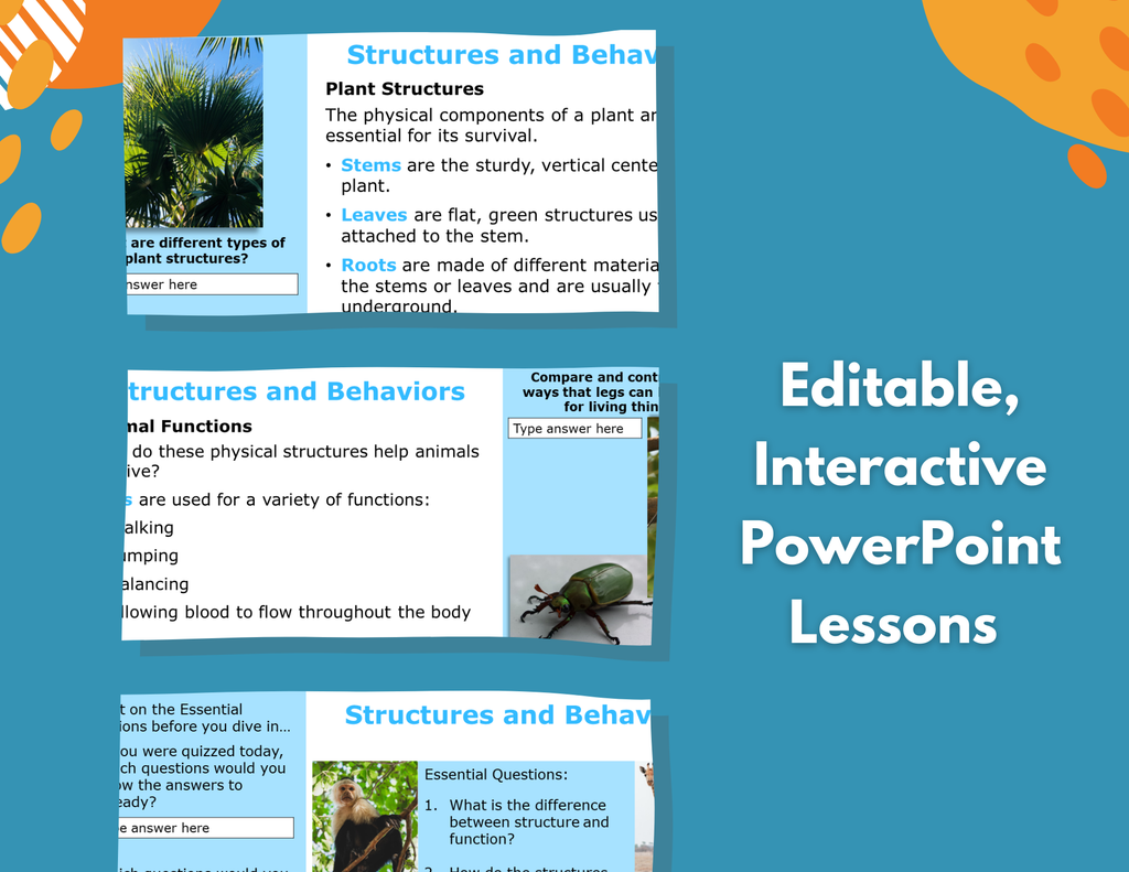 Structures & Behaviors - Complete Lesson Plan - 5th Grade