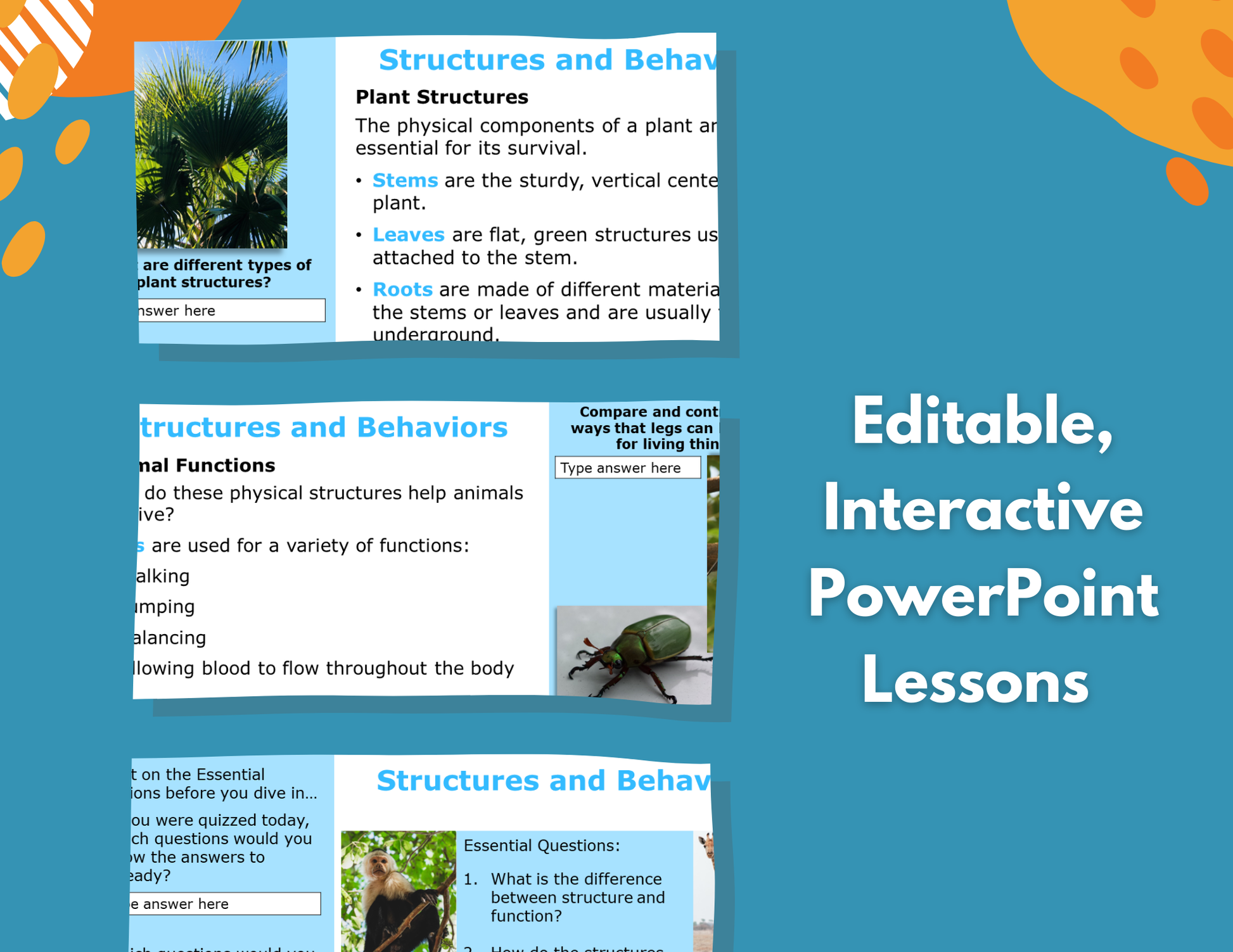 Structures & Behaviors - Complete Lesson Plan - 5th Grade